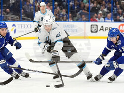 Mammoth Lightning Hockey