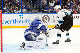 Mammoth Lightning Hockey