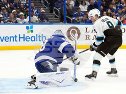 Mammoth Lightning Hockey