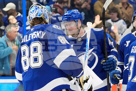 Mammoth Lightning Hockey