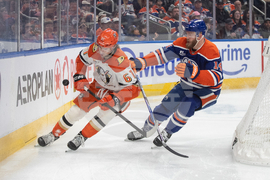 Ducks Oilers Hockey