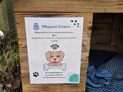 Видин - бездомни кучета - къщички