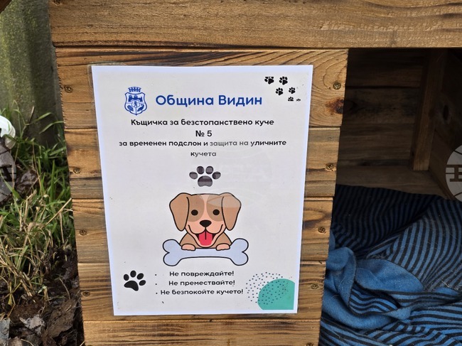Община Видин постави 12 къщички за бездомни кучета в различни квартали на града