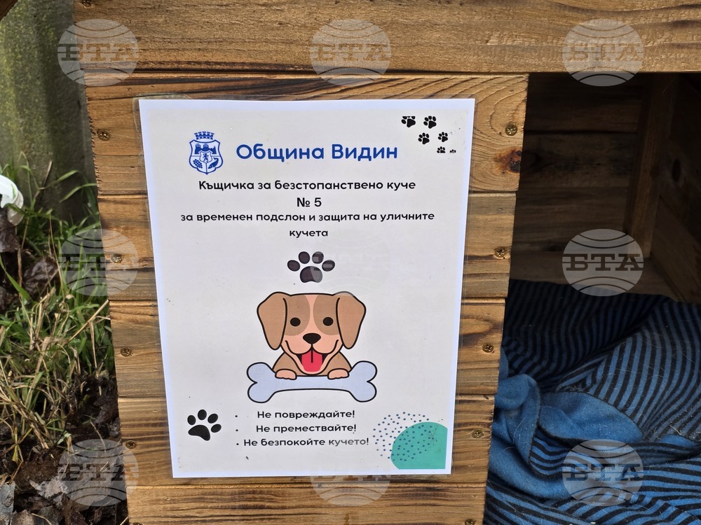 Видин - бездомни кучета - къщички