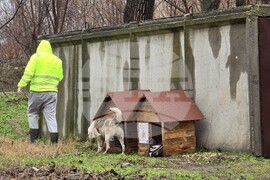 Видин - бездомни кучета - къщички