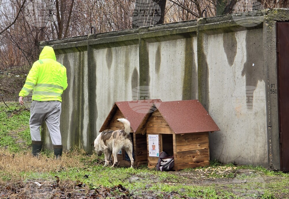 Общинският съвет в Айтос прие програма за овладяване популацията на безстопанствените кучета за периода 2026–2030 година
