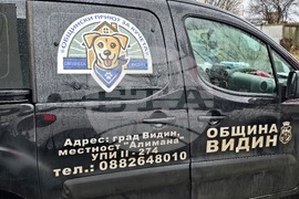 Видин - бездомни кучета - къщички