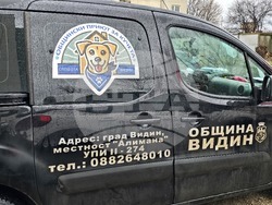 Видин - бездомни кучета - къщички