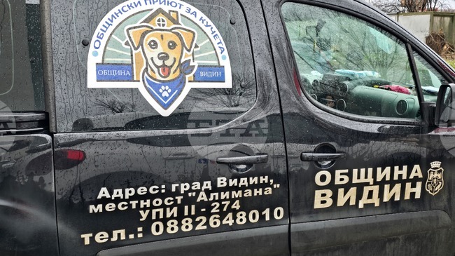 Общинският приют за кучета във Видин търси доброволци от малките населени места