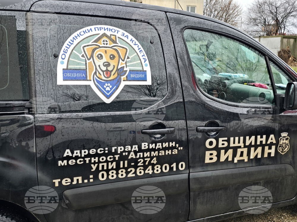 Общинският приют за кучета във Видин започва безплатна кастрация на котки