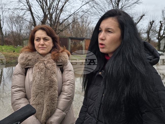 Над 400 кучета са регистрирани през миналата година в община Видин