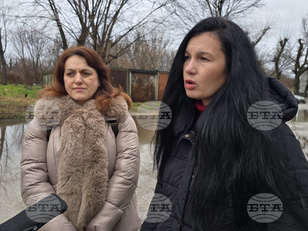 Видин - бездомни кучета - къщички