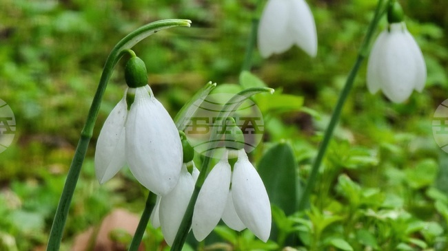 Прогноза за времето