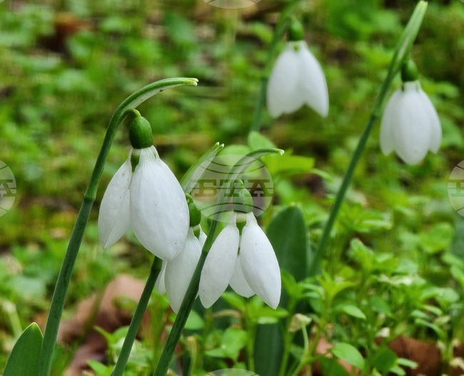 Прогноза за времето