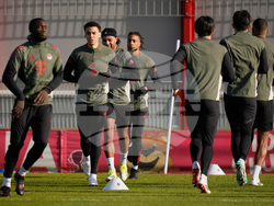 Germany Champions League Soccer