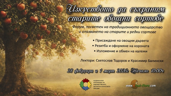 Демонстрация на изкуството за запазване на старите овощни сортове организират в Националното изложение на занаятите в троянското с. Орешак 