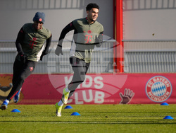 Germany Champions League Soccer