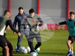 Germany Champions League Soccer