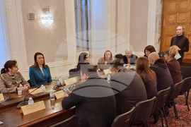 Народно събрание - Комисия по демографската политика, децата и семейството - заседание