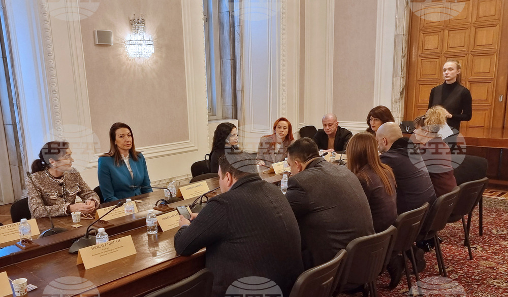 Народно събрание - Комисия по демографската политика, децата и семейството - заседание