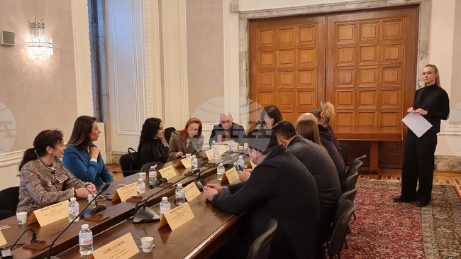 Защитата на децата от кибертормоз беше тема на дискусия в парламентарната комисия по демографската политика, децата и семейството