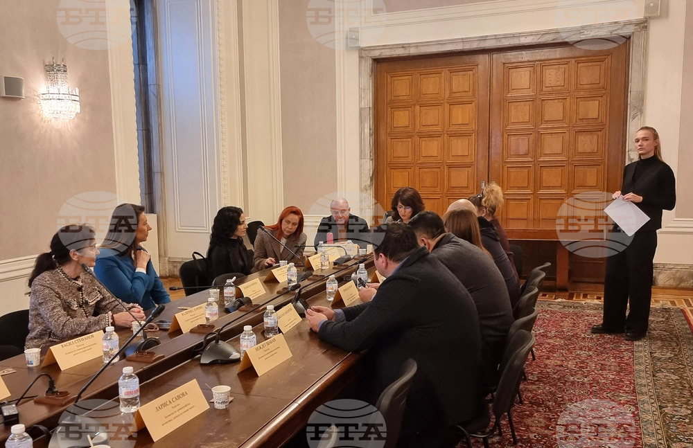 Защитата на децата от кибертормоз беше тема на дискусия в парламентарната комисия по демографската политика, децата и семейството