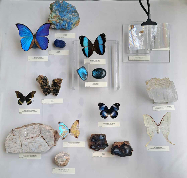 Минерали и цветни твари - рисува природата