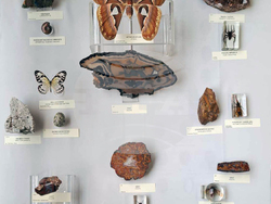 Сдружение „Български музеи“ - прессъобщение