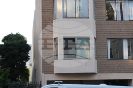 San Francisco Mountain Lion