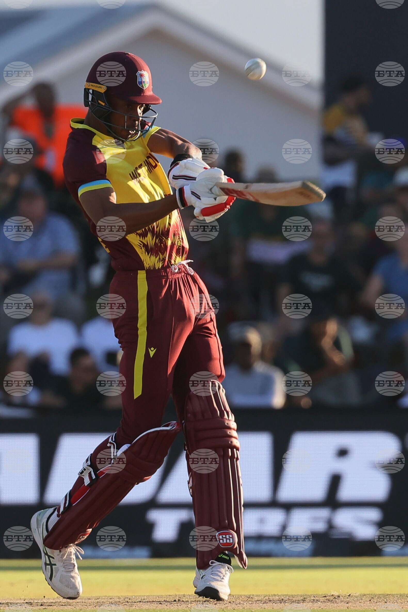 South Africa West Indies T20 Cricket