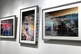 Казанлък - инфрачервена фотография - изложба