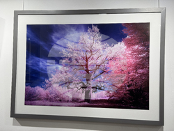 Казанлък - инфрачервена фотография - изложба