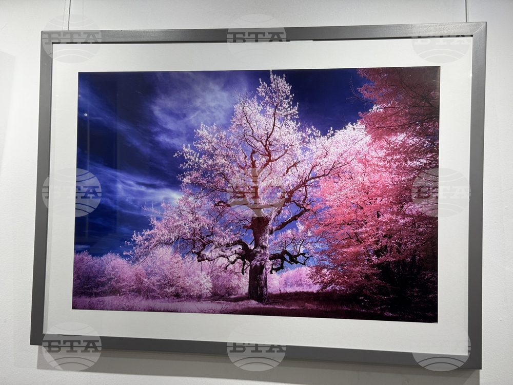 Казанлък - инфрачервена фотография - изложба