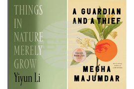 Books-Carnegie Medals