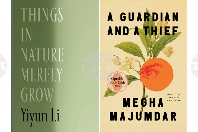 Books-Carnegie Medals