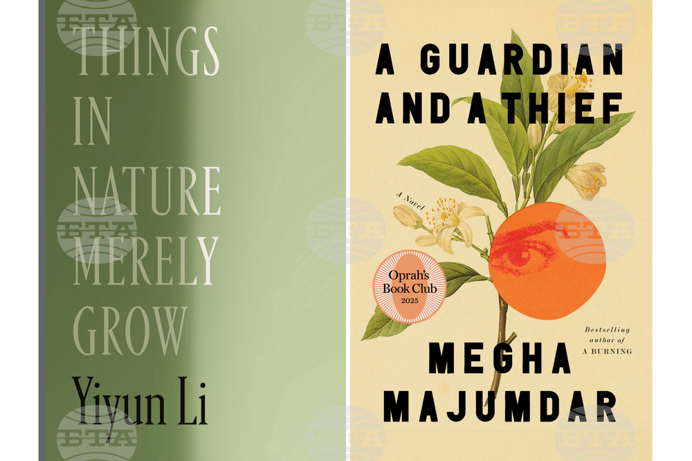 Books-Carnegie Medals