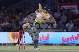 South Africa West Indies T20 Cricket