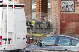 California Mountain Lion