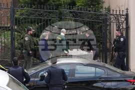 California Mountain Lion