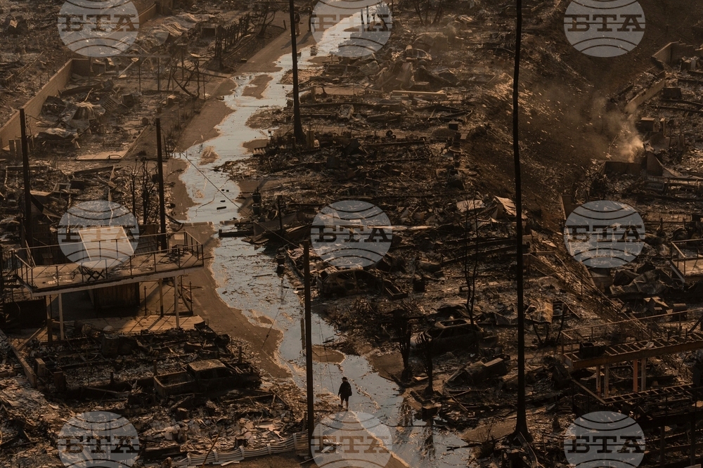 California Wildfires Trump