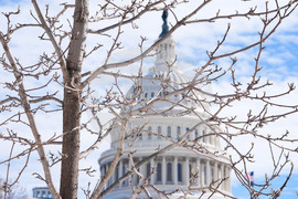 Winter Weather Washington