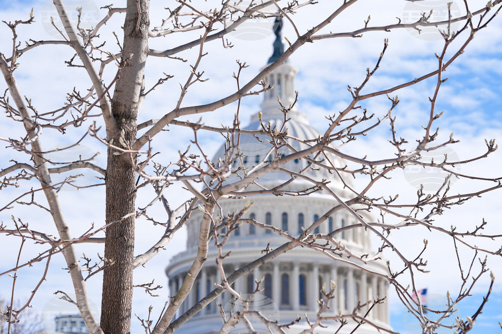 Winter Weather Washington