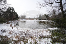 Winter Weather Pond Deaths