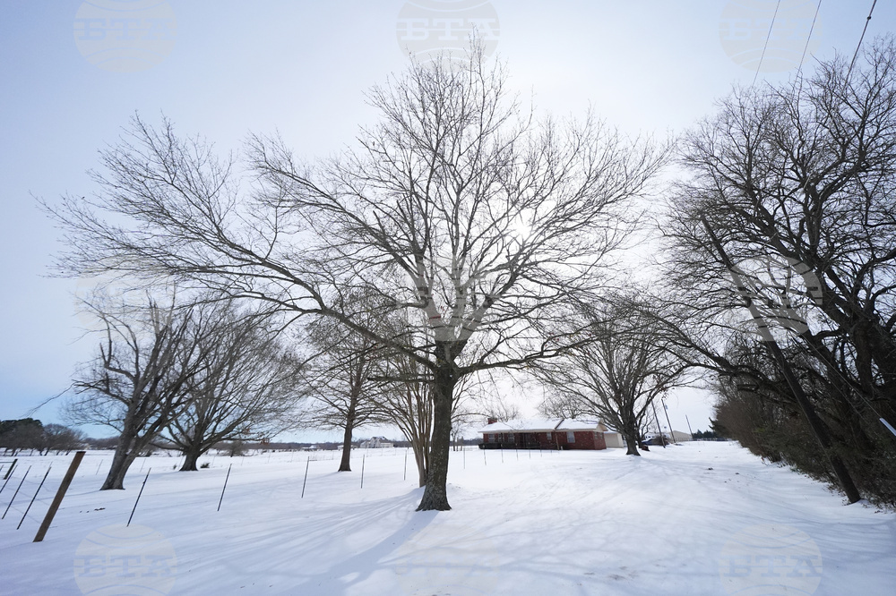 Winter Weather Pond Deaths