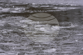 Winter Weather Pond Deaths