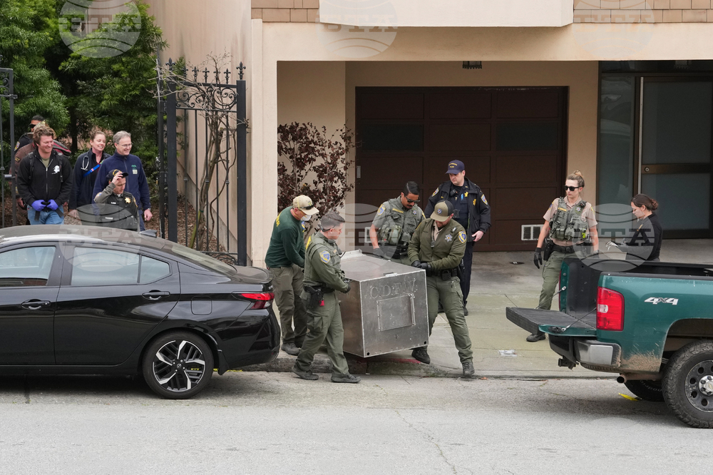 California Mountain Lion