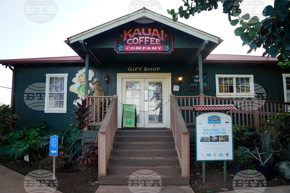 Kauai Coffee-Uncertainty