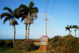 Kauai Coffee-Uncertainty