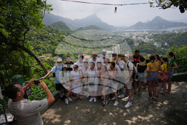 Brazil Favela Tourism