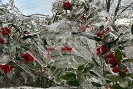 Winter Weather Tennessee